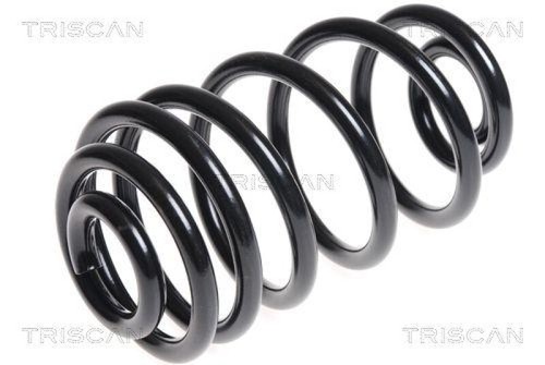 Triscan spiralfeder hinten - triscan,