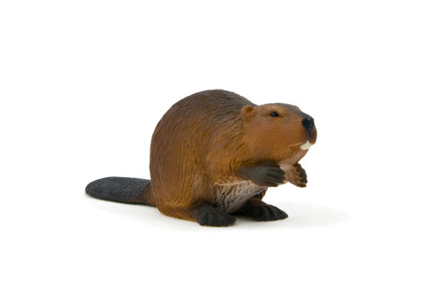 Mojo wild life biber - wild, "biber"