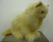 Real Soft Toys Watford