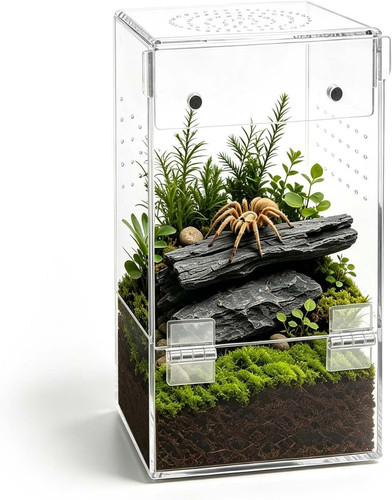 Acryl terrarium mini - acryl,