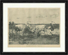 Kampf ungarischer Stiere Bastagh Peitsche Hörner Rind Bullen  Faksimile_E 22341