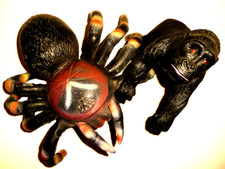 2er Set Große Vogelspinne
