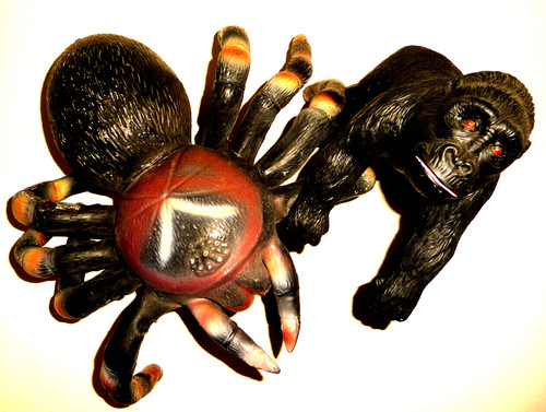 2er set große vogelspinne - große,