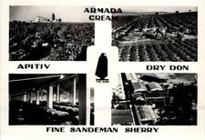 Jerez de la Frontera - Fine Sandman Sherry -410346