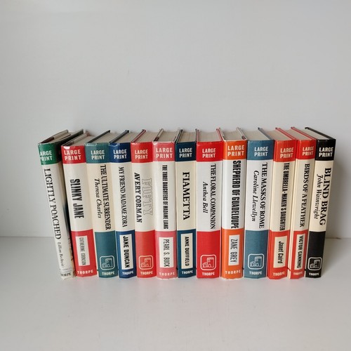 Large print book - 13,