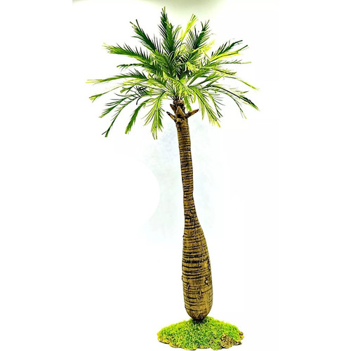 Flaschen palme höhe cm - -,