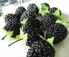 12 Brombeeren Fake Obst