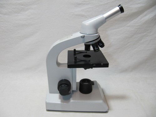 Will hund 250 - v, monokular