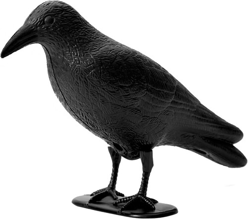 Offo schwarz rabe - rabe, vogelschreck