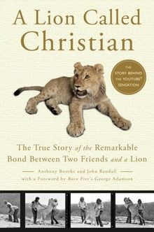Lion called christian the - called,
