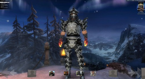 Guild wars account - account,