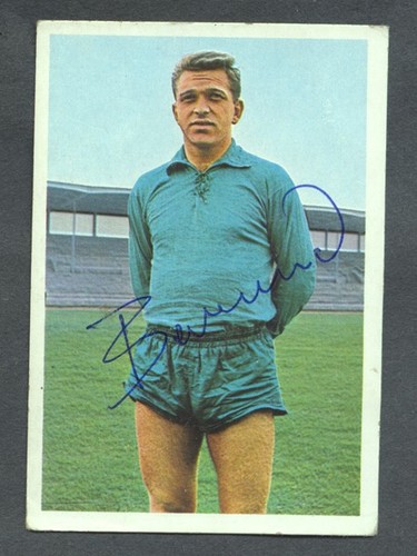 1965 günter bernard - günter,