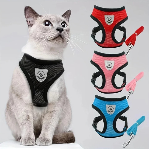 Katze haustier geschirr und - geschirr,