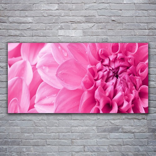 Acrylglasbilder wandbilder aus - acrylglasbilder,
