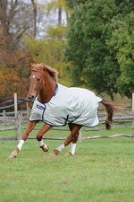 Bucas Power Turnout Light