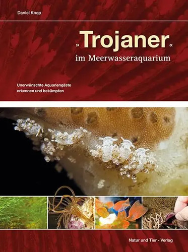 Trojaner meerwasseraquarium - trojaner,