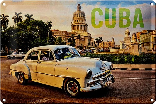 Blechschild spruch 30x20cm - spruch,