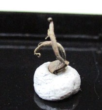 +++ gediegen Silber -