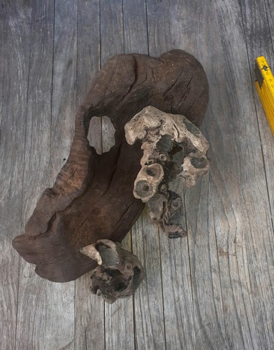 Treibholz schwemmholz - 3,