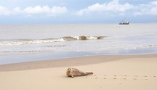 Kurzurlaub FeWo Nordsee