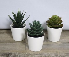 Ikea Fejka Sukkulente drei