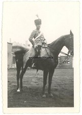 Orig. Foto Reiter des
