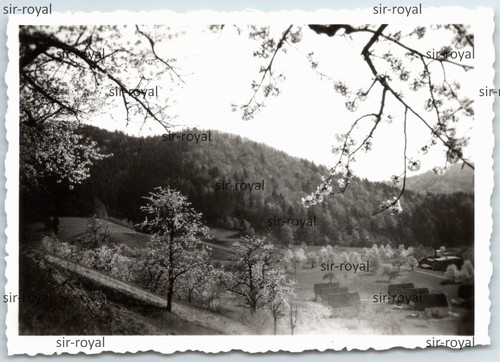 Zell wiesental 1940 - im, um