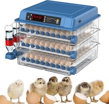Inkubator Brutmaschine