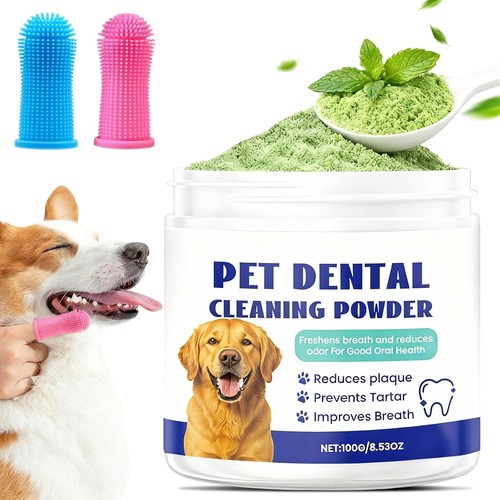 100g zahnpflege hund pulver - hund,