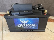 Elfhub 12V 100A LiFePO4 Akku 100Ah Lithium Batterie mit Ladegerät Boot,Wohnmobil