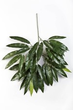 artplants Deko Mangozweig