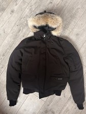 Canada goose chilliwack - goose,