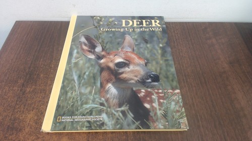 Deer growing up - in, the