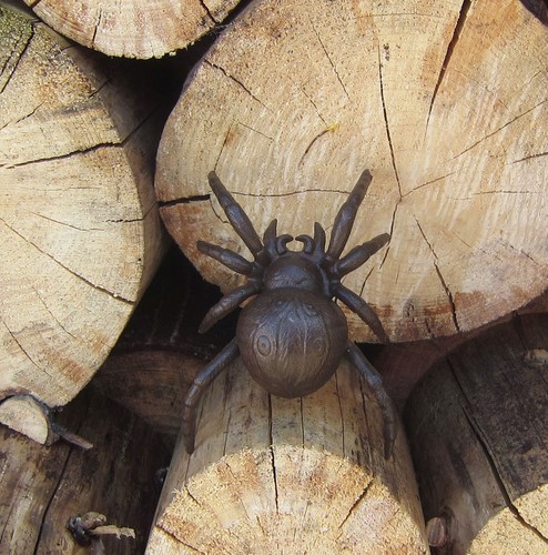 Spinne 19cm gusseisen - spinne,