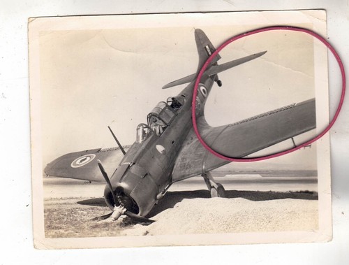 Repro photo foto flugzeug - repro,
