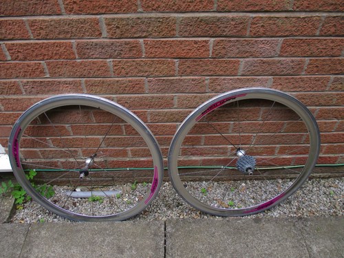 Campagnolo shamal hpw - campagnolo, 12-hpw