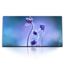 120x80cm kunstdruck bilder - 120x80cm,