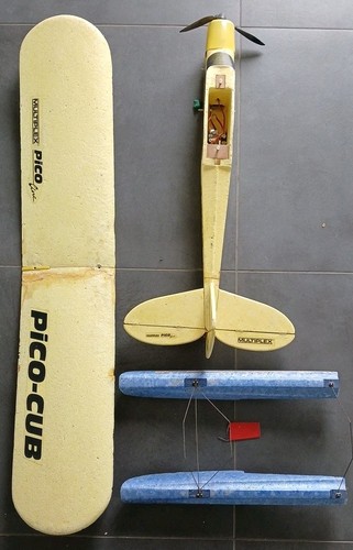 Multiplex piper pico - multiplex,