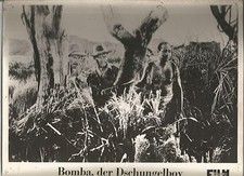 AF Bomba, der Dschungelboy