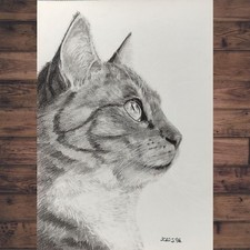 Katze Bleistiftzeichnung Original, Schwarz Weiß, Bilder, Gemälde, Graphit, Kunst