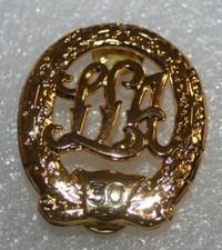 LSA Sportabzeichen Gold mit