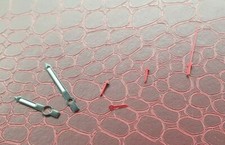 Zeigersatz Eta Valjoux 7750