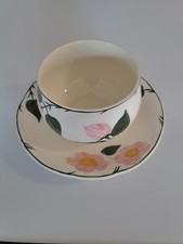 Fest für die Augen: Villeroy & Boch Wild Rose: Speiseservice Einzelteile z. Wahl