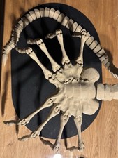 Sandfarben Alien Facehugger