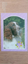 Postkarte Hund English Springer Spaniel gel_2
