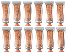 MARVIS Ginger Mint 12 x 25ml