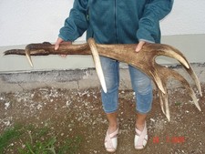 Abwurfstange 3,2kg, 8