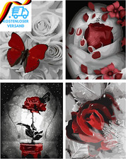 XINRANFF Malen Nach Zahlen