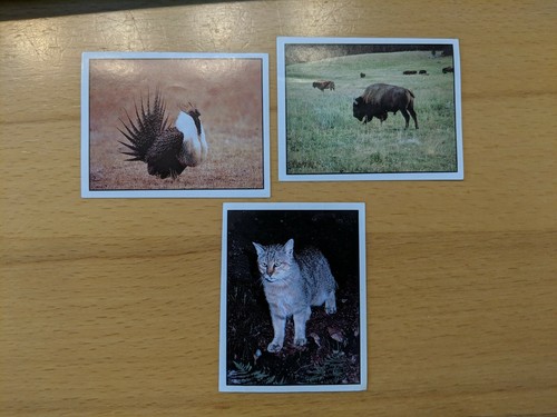 Alte sammelbilder sticker - 3,