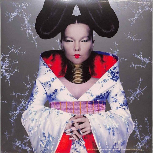 Bjork homogenic one - /,